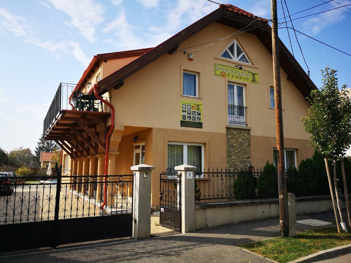 Borostyan Panzio Bed & Breakfast